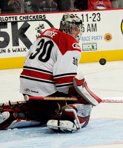 Checkers vs. Chicago Wolves