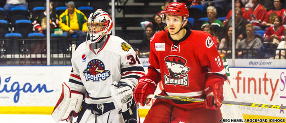Charlotte Checkers Rockford IceHogs